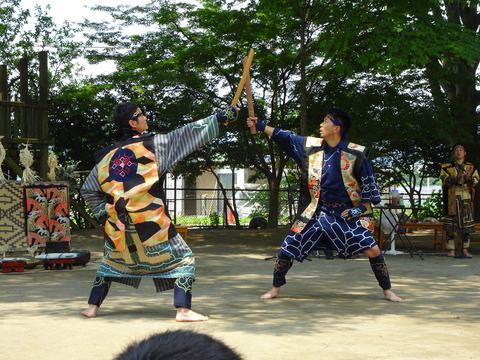 DSC01250