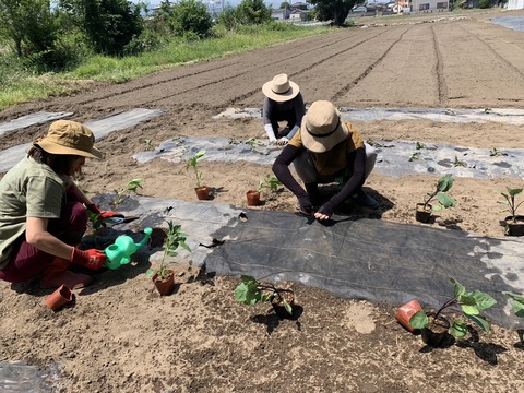 85CD99F5-C1CC-4A62-BD44-4E79CCEC3069