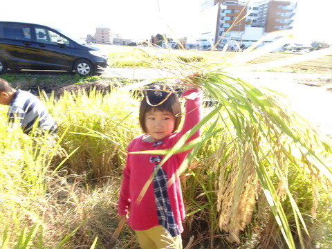 DSC08406