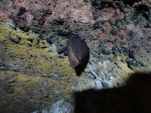 DSC00578