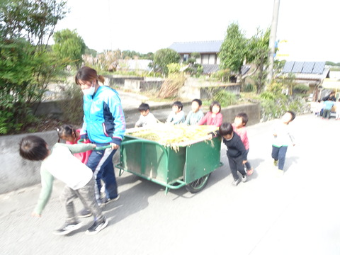 DSC08480