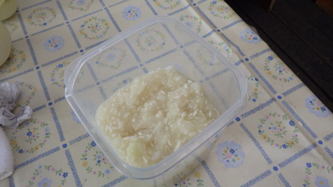 RIMG6555