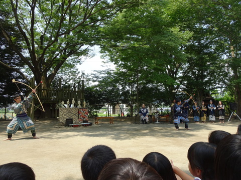 DSC01229