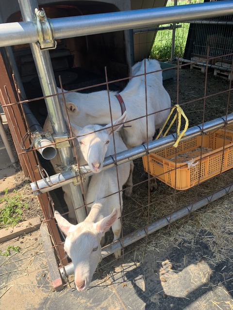 2D9DDBCE-B44D-452B-8449-41C9923E421C