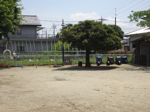 DSC06053
