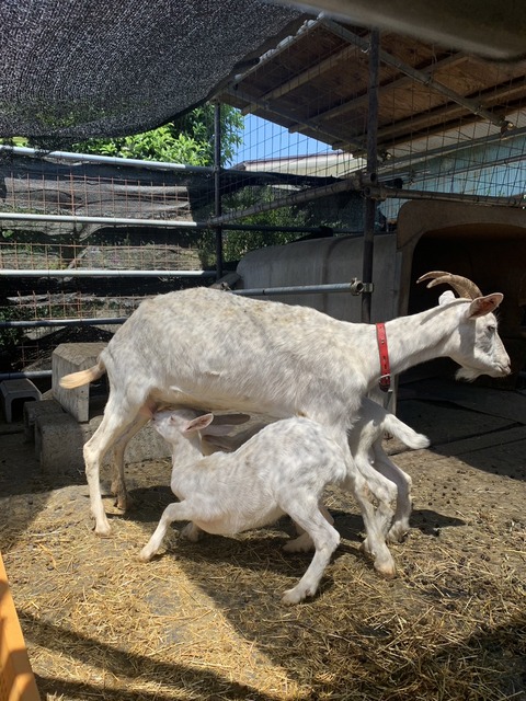 EA269D1F-F9D2-48C2-B36A-2ACF4CDC61C9