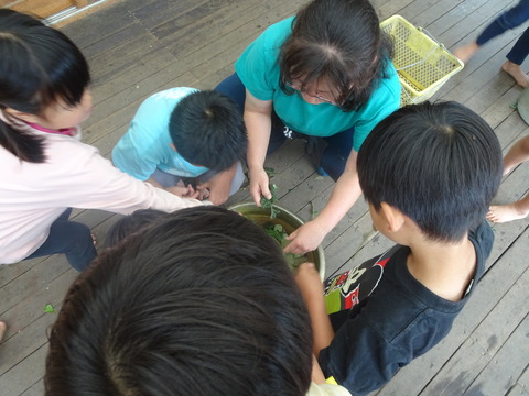 299FF1FA-F0A2-4D55-9E80-A485D660FF38