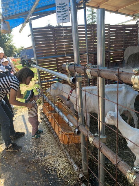 59600C55-A0EF-48EE-9F43-526A4DF8DB43