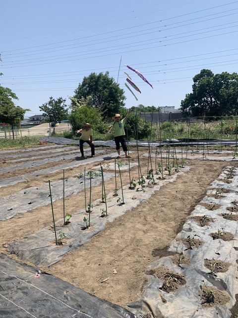 A3B16853-040D-44A7-A59F-0DC3F5B8919F