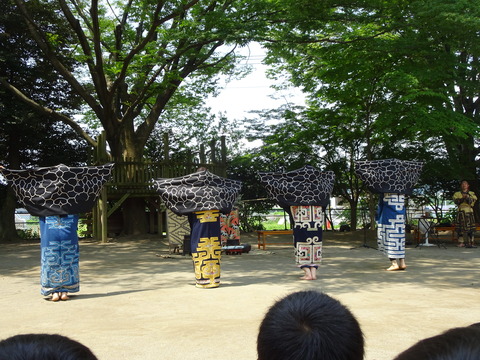 DSC01247