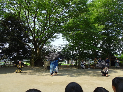 DSC01241