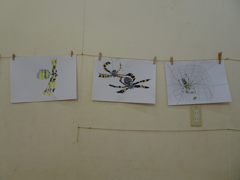 DSC00627