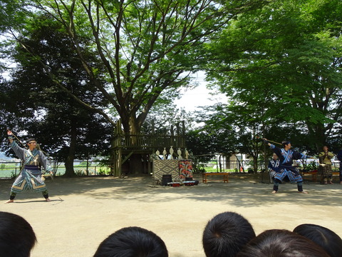 DSC01228
