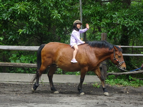 AC0B3ACE-D501-4BA3-8E83-445AAED064D0