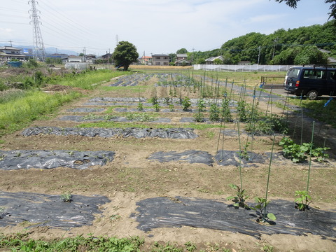 DSC06050
