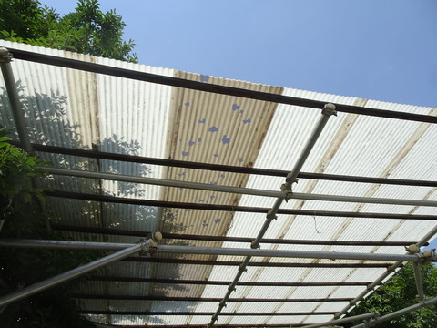 DSC06055