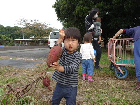 DSC07980