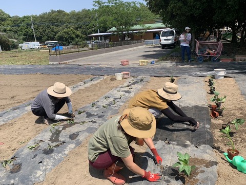 8E59BB34-C420-4580-88E2-44703F268284