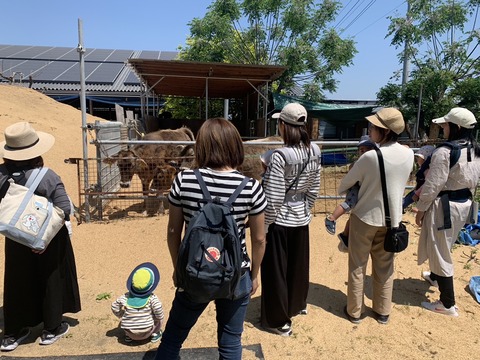 A38563FA-E647-49E4-A07F-4E981293F802