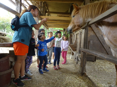 94D5A7D6-8C8A-4B2C-8D2F-B47221A1F22D