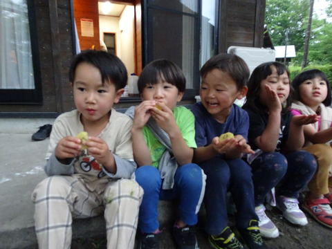 DSC00291
