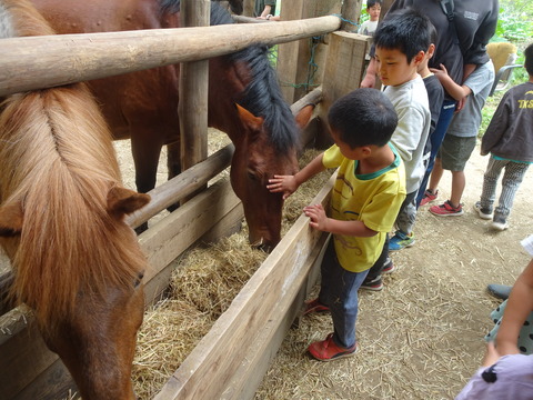 920B2536-E1AC-43B4-B579-996C9A388410