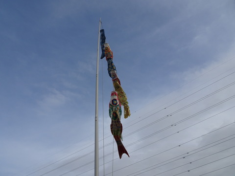 DSC07199