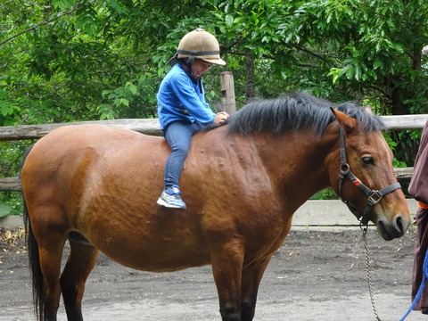 2D3B977F-B5A2-47CB-921A-EE84FE45A20E