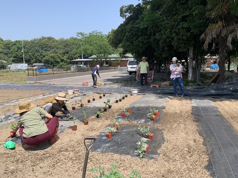 FDC65C62-78D9-4421-864C-66376A91CE0E