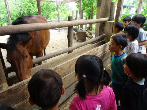 60F2C6A6-193A-46EB-9DCC-487DB176E47D