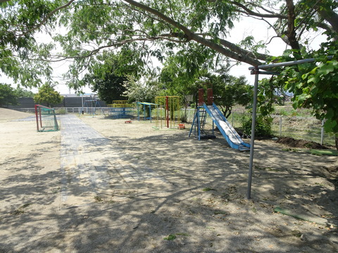 DSC06052