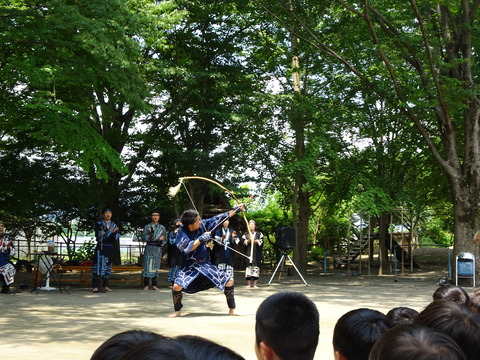 DSC01238