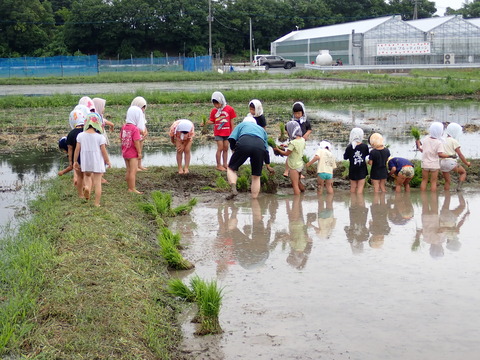 P6250110