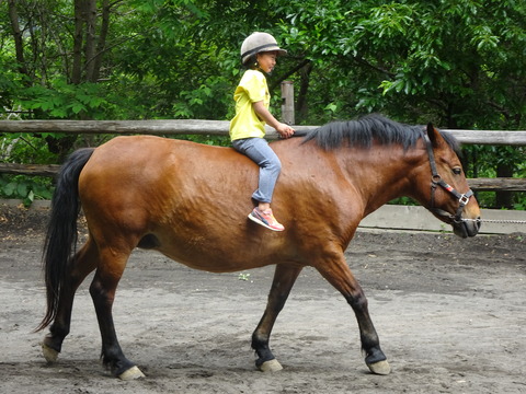 FC8F48B4-62C9-42E1-BD2A-84165738368C