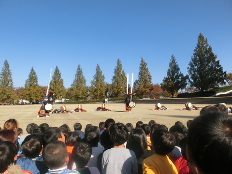 CIMG2893