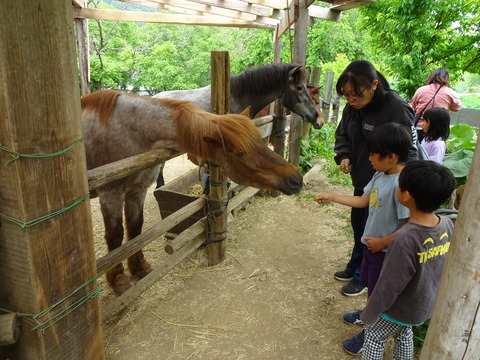 2693DA48-57D8-4EFE-A79D-272A7B67F856