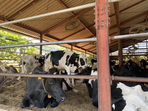 631796C6-94D1-4619-AF78-FFEC48C8E970