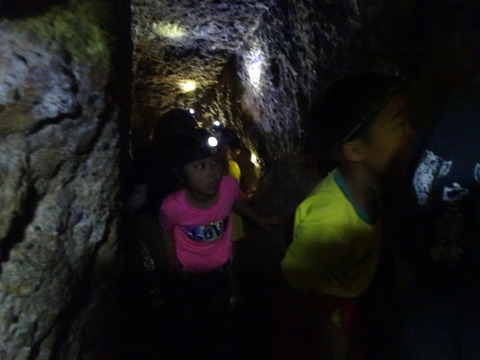 DSC00582