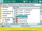 WMPSkin_custom1.png