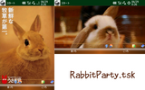 RabbitParty