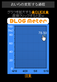 ¥Ö¥í¥°¥á¡¼¥¿¡¼