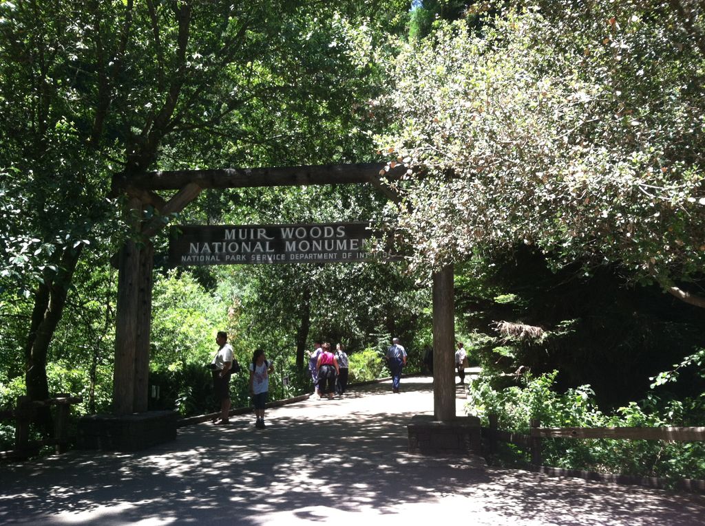 Muir Woods National Monument ミュアウッズ国定公園 ひだまり日記 日々 感謝 In Berkeley Muir Woods National Monument ミュアウッズ国定公園 ひだまり日記 日々 感謝 In Berkeley
