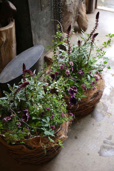 母の日のご注文のお花