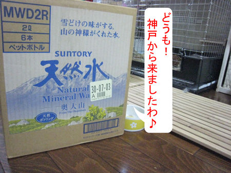 完成?_6