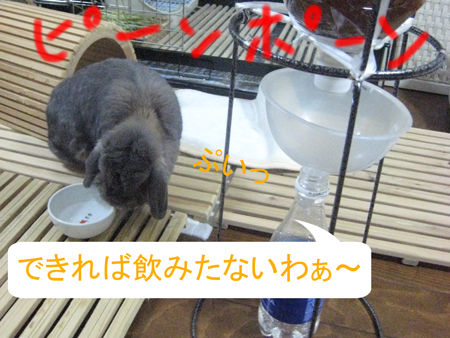 完成?_5