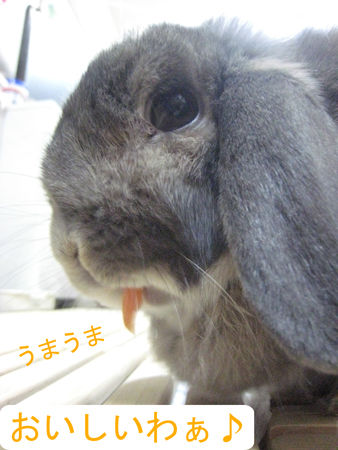 マフまくら_1