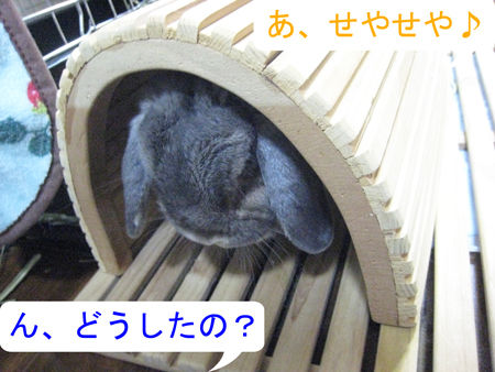 マフまくら_4