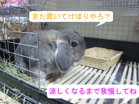 川越_2
