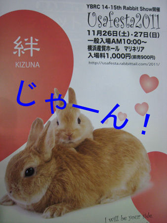 うさフェスタ2011_0