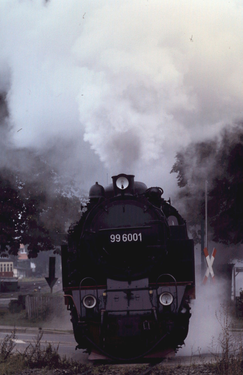 つねぴょんの 撮り鉄人生